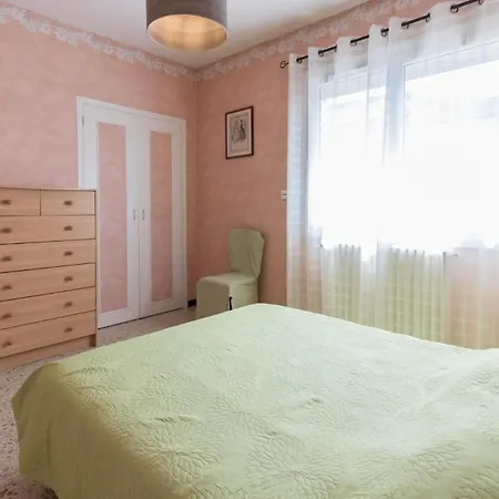 Les Hortensias Aussonne