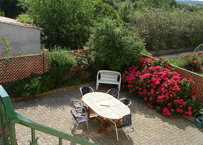 Les Hortensias Hébergement de vacances Aussonne