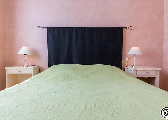 Les Hortensias Aussonne