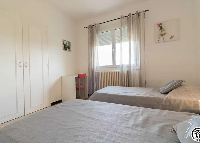 Les Hortensias * Aussonne